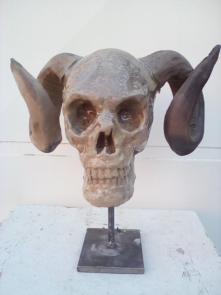 crâne 1
